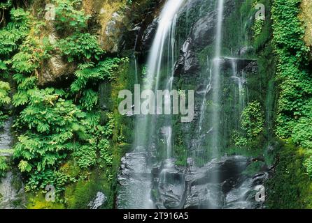 Elk Creek Falls, Rogue-Coquille National Scenic Byway, Siskiyou National Forest, Oregon Stock Photo