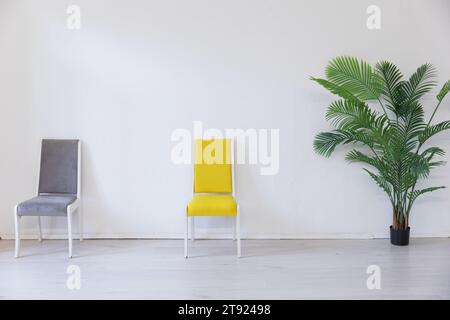 Two chairs and a green plant in the interior of a white room without people Stock Photo