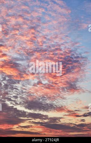 Red sunset clouds on blue sky. Background texture. Stock Photo