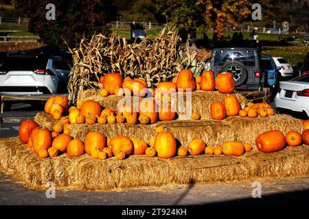 Pumpkins displayed on hay bales at a pumpkin patch on a rural farm Stock Photo