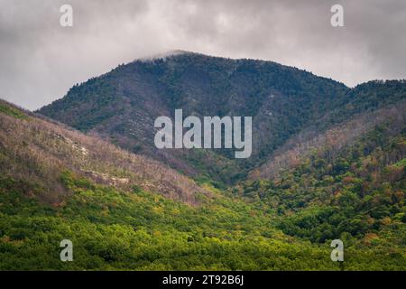 Great Smoky Mountains National Park in North Carolina Stock Photo