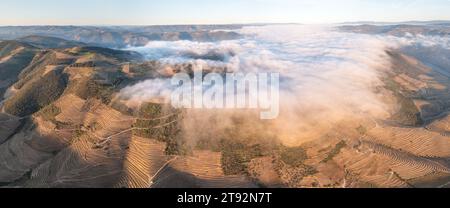 Aerial view of the terraced vineyards in romantic sunset in the Douro Valley near the village of Pinhao. Concept for travel in Portugal Stock Photo