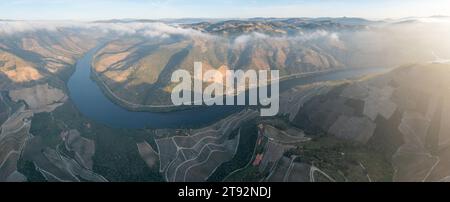 Aerial view of the terraced vineyards in romantic sunset in the Douro Valley near the village of Pinhao. Concept for travel in Portugal Stock Photo