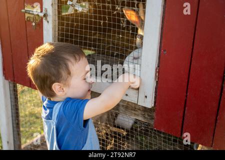 Happy smiling Toddler boy plays with a white rabbit in a petting zoo on a sunny summer day. Friendship with the animal. Focus on the rabbit Stock Photo