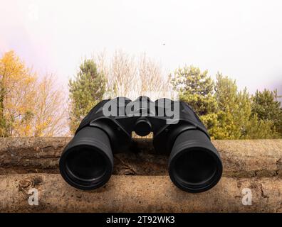 A pair of binoculars resting on a log with copy space Stock Photo