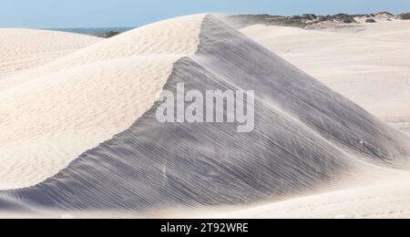 Windswept white sand dunes at Lancelin, north of Perth City Western Australia Stock Photo