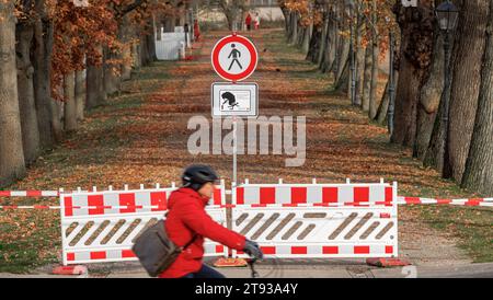 22 November 2023, Mecklenburg-Western Pomerania, Schwerin: The 'No pedestrian access' traffic sign prohibits pedestrians from entering Schwerin Castle Park due to the current danger of falling trees or broken branches. Because hundreds of trees are no longer safe for traffic, the state of Mecklenburg-Vorpommern has completely closed several historic parks. Photo: Markus Scholz/dpa Stock Photo