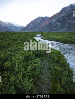 A curvy stream flowing through the meadows of rangdum ladakh. Stock Photo