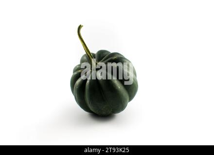 Photo of a variety of squashes, including delicata, kabocha, acorn, honey nut, and patty pan Stock Photo