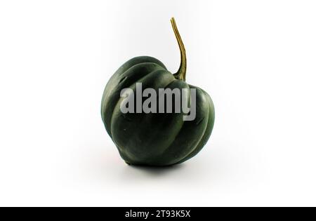 Photo of a variety of squashes, including delicata, kabocha, acorn, honey nut, and patty pan Stock Photo