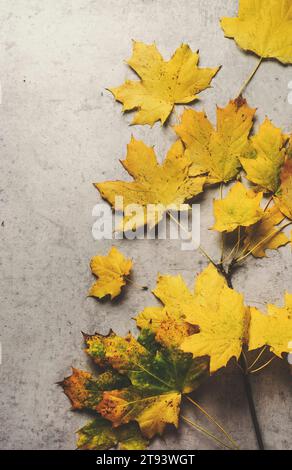 Yellow autumn leaves at grey concrete table. Seasonal autumn background with colored leaves. Top view. Stock Photo