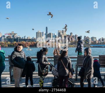 People amuse themselves with the ever present seagulls while waiting on line to enter the Target 'Wonderland' pop-up at the South Street Seaport in New York on Sunday, November 19, 2023. The experiential brand activation attracted so many people that the wait to enter stretched to two hours. (© Richard B. Levine) Stock Photo