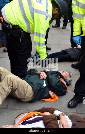 London, UK. 22nd Nov, 2023. Just Stop OIl protesters arrested as soon as they begin their march down Whitehall. Credit: JOHNNY ARMSTEAD/Alamy Live News Stock Photo