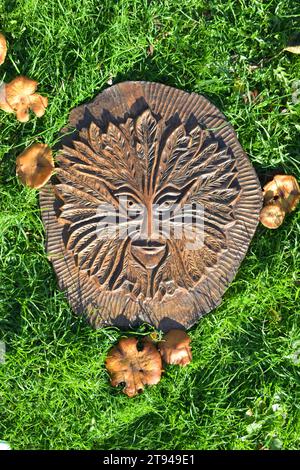 Pagan Green Man mask represented in oak wood carving, formed from fallen oak tree, surrounded by fungi. Carved By Don Minnaar Stock Photo