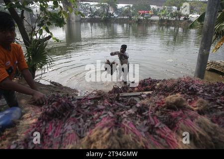 Dhaka Bangladesh,23November 2023,An bangladeshi vegetable vendor washed green vegetables in a polluted water in dhaka.this photo was taken kuril purba Stock Photo