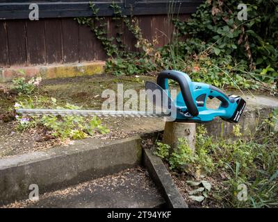 Makita cordless hedge trimmer DUH523Z standing on a tree trunk in a yard. Professional equipment of a gardening worker. A battery powered tool. Stock Photo