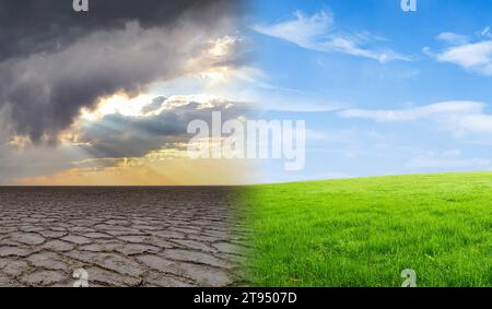 Dead and alive tree in a split of crack wasted land and green meodow field a concept of climate change and global warming. Stock Photo