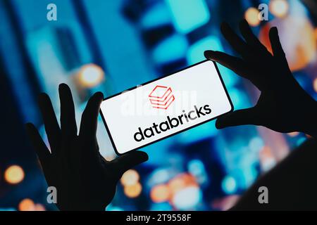 In this photo illustration, the Databricks logo is displayed on a smartphone screen. Stock Photo