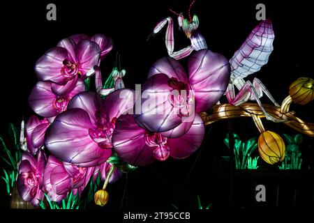 Paris, France. 22nd Nov, 2023. 5th edition of the Jardin des Plantes Lantern Festival with the theme 'Jungle in the process of enlightenment', welcomes the public from November 22, 2023 to January 21, 2024 in Paris, France. Credit: Bernard Menigault/Alamy Live News Stock Photo