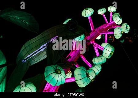 Paris, France. 22nd Nov, 2023. 5th edition of the Jardin des Plantes Lantern Festival with the theme 'Jungle in the process of enlightenment', welcomes the public from November 22, 2023 to January 21, 2024 in Paris, France. Credit: Bernard Menigault/Alamy Live News Stock Photo