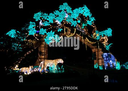 Paris, France. 22nd Nov, 2023. 5th edition of the Jardin des Plantes Lantern Festival with the theme 'Jungle in the process of enlightenment', welcomes the public from November 22, 2023 to January 21, 2024 in Paris, France. Credit: Bernard Menigault/Alamy Live News Stock Photo