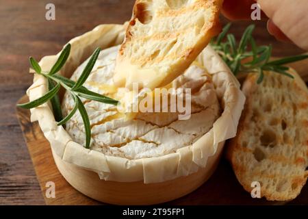 Dipping bread in tasty baked brie cheese on wooden board, closeup Stock Photo