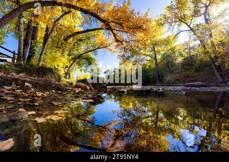 Vibrant fall color reflections on Clear Creek in autumn - Golden, Colorado, USA Stock Photo