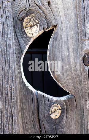 Crescent Moon on wooden door of outhouse - Golden, Colorado, USA Stock Photo