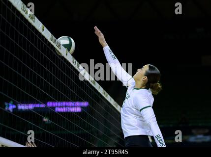 Ferrell Center Waco, Texas, USA. 22nd Nov, 2023. during the NCAA Volleyball match between Houston Cougars and the Baylor Bears at Ferrell Center Waco, Texas. Matthew Lynch/CSM/Alamy Live News Stock Photo