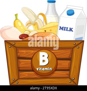 Learn about the various foods rich in Vitamin B Stock Vector