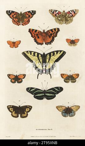 Painted lady, Vanessa cardui 1,2, large tortoiseshell, Nymphalis  polychloros 3, gatekeeper, Pyronia tithonus 4,5, tiger swallowtail, Papilio glaucus 6, grayling, Hipparchia semele 7,8, zebra longwing, Heliconius charithonia 9, small heath, Coenonympha pamphilus 10,11. Handcoloured copperplate engraving by Moses Harris from William Frederic Martyn’s A New Dictionary of Natural History, Harrison, London, 1785. Pseudonym of William Fordyce Mavor, Scottish priest, teacher and writer, 1758-1837. Stock Photo