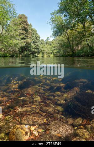 River over and under water surface split view, natural scene, Spain, Galicia, Pontevedra province, Rio Verdugo Stock Photo