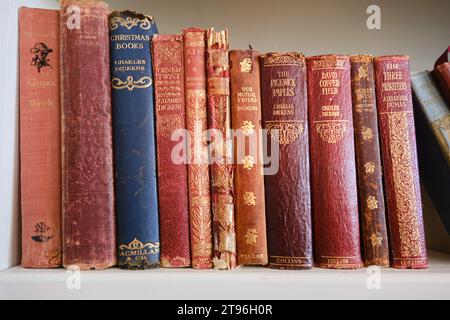 a book shelf with a collection of old books in various state of damage, classics of literature Stock Photo