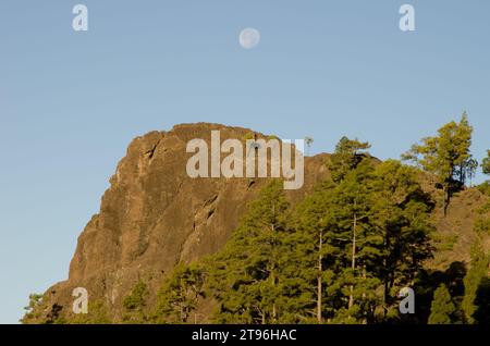 Morro del Visadero cliff and full moon. Integral Natural Reserve of Inagua. Tejeda. Gran Canaria. Canary Islands. Spain. Stock Photo