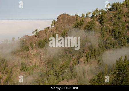 Morro del Visadero. Integral Natural Reserve of Inagua. Tejeda. Gran Canaria. Canary Islands. Spain. Stock Photo