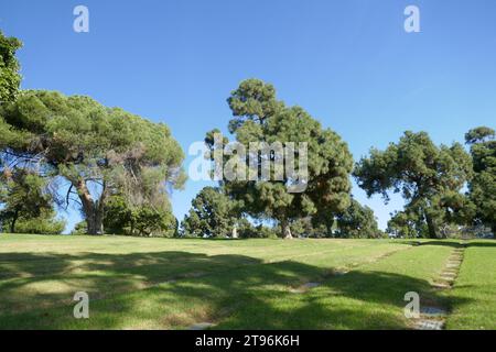 Glendale, California, USA 21st November 2023 Forest Lawn Memorial Park on November 21, 2023 in Glendale, California, USA. Photo by Barry King/Alamy Stock Photo Stock Photo