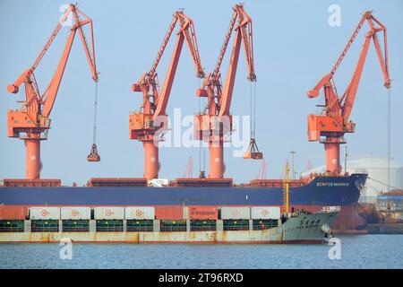 YANTAI, CHINA - NOVEMBER 21, 2023 - Cargo ships load and unload cargo at Longkou port area of Yantai Port, east China's Shandong Province, Nov 21, 202 Stock Photo