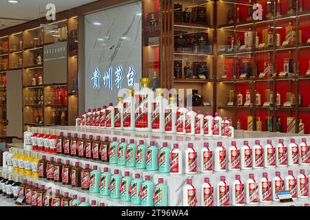 SHANGHAI, CHINA - NOVEMBER 23, 2023 - Moutai liquors at the Kweichow Moutai Experience Museum in Shanghai, China, November 23, 2023. Stock Photo