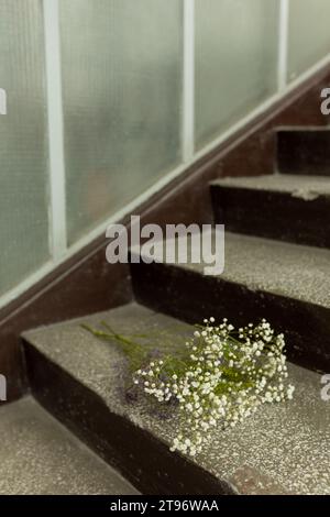 Bouquet of delicate white gypsophila lies on stairs inside house. Romantic gift. Flower delivery. Floral mood. S Stock Photo