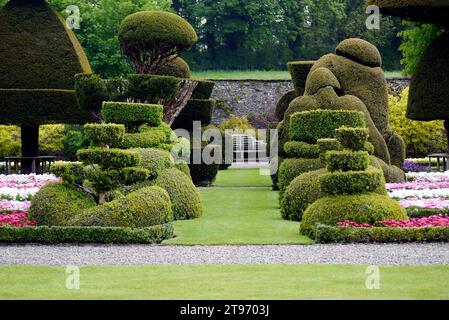 Multi-coloured Flowerbeds of 'Bellis Perennis' (Daisies) amongst the ...