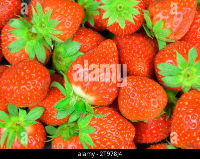 Color macro shot of strawberries. Strawberry image suitable as background for supermarkets, vegetable shops, garden market. Concept for restaurants, i Stock Photo