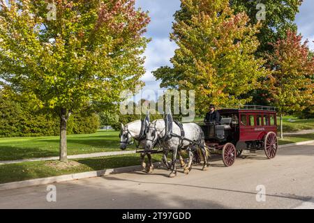 The Grand Hotel transports its guests in a private carriage. Closed horse-drawn carriage pulled by two white horses on Cadotte Avenue, Mackinac Island. The islands are car-free. All transportation is by horse or bicycle. Mackinac Island, United States Stock Photo