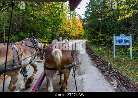 Horses pull a carriage for tourists on a ride across Mackinac Island. Carriages are the main means of transportation on Mackinac Island, United States Stock Photo