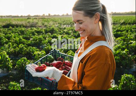 Happy farmer with fresh red bell peppers standing at field Stock Photo