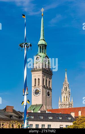 Germany, Bavaria, Munich, Maypole in front of St. Peters Church Stock Photo