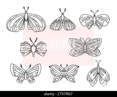 Set of vector insect moths, illustration in line style, doodle vector. Isolated butterfly collection. Stock Vector