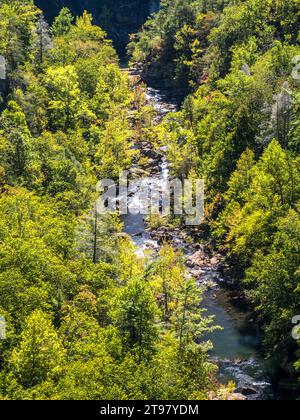 Tallulah Gorge and Bridge, Tallulah Falls, Georgia, USA Stock Photo