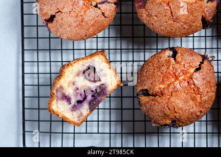 Home made large Blueberry muffins cooling on a wire rack having been just taken out of the oven. Stock Photo
