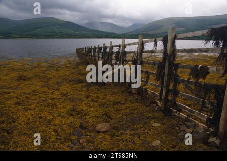 Scottish highlands landscape. Paisaje de las highlands de Escocia Stock Photo