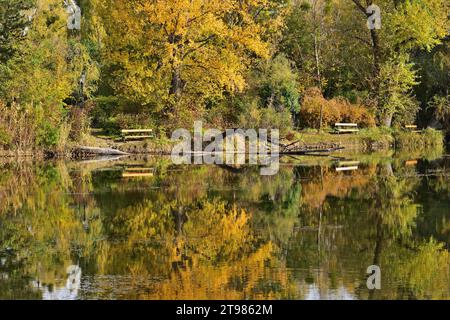 Autumn colors in Floridsdorfer Wasserpark, Vienna, Austria Stock Photo